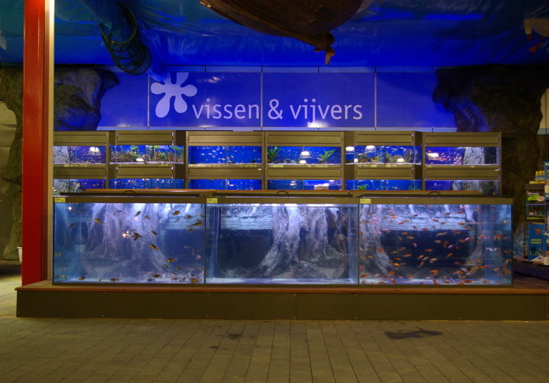 Vijvervissen