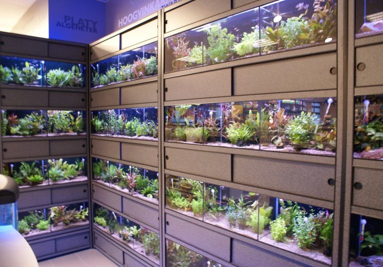 Zoetwater aquariums