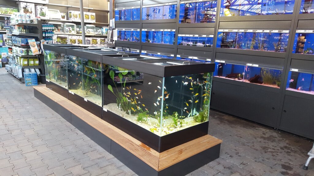 Intratuin Amsterdam