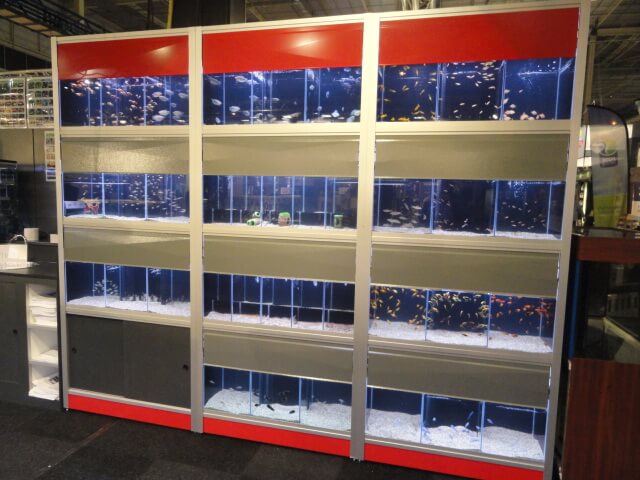 Aquarium stellingen B-serie