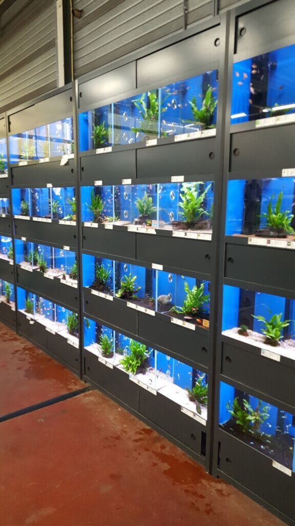 Aquariumstellingen GG-serie
