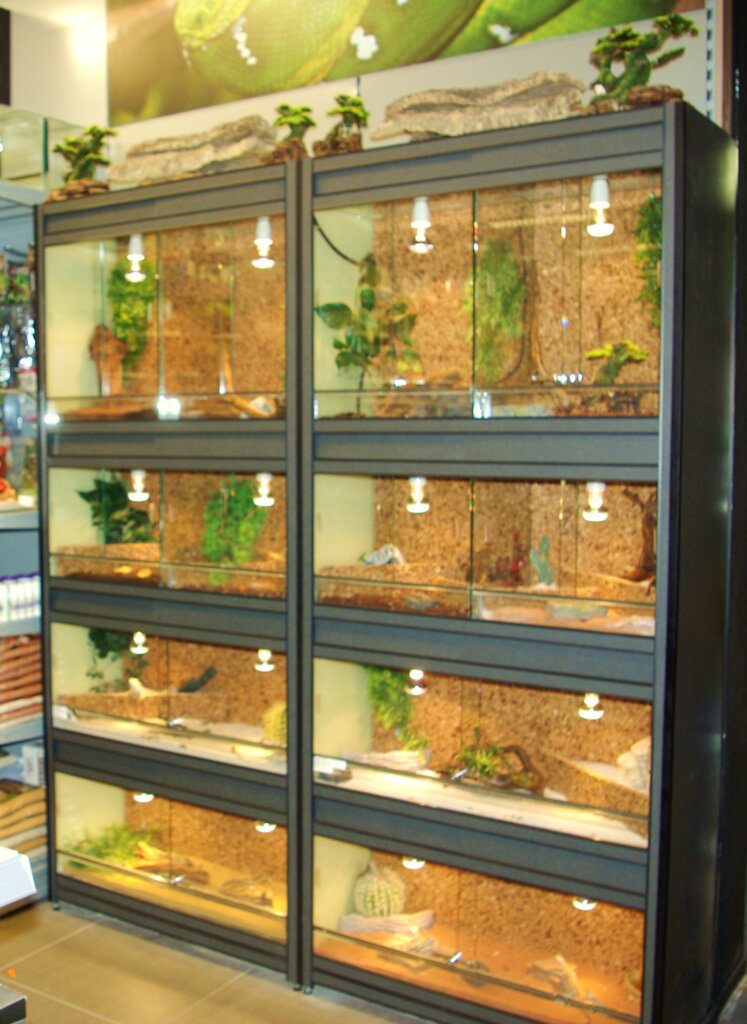 Terrarium stellingen