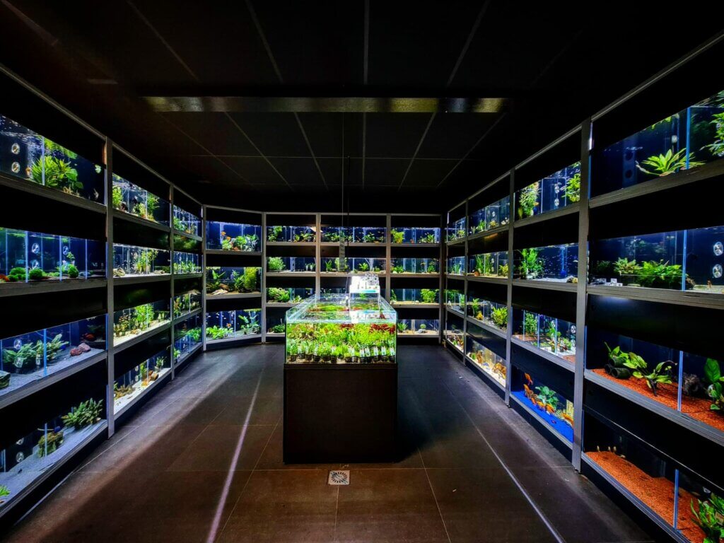 Dierenwinkel XL