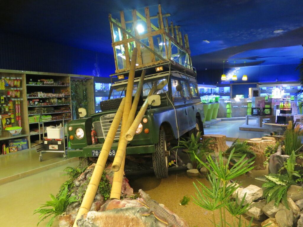 omgebouwde jeep naar terrarium