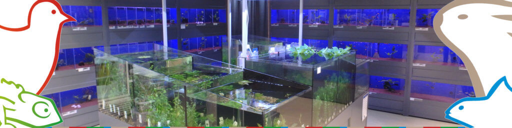Unieke aquariumstellingen